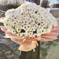 Букет із 31 хризантеми, маргаритки