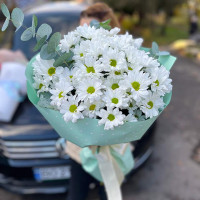 Букет із маргариток "Краплина щастя"