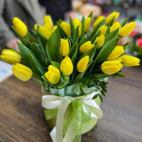 Коробка із 25 жовтих тюльпанів