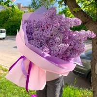 Букет із бузку "Елегант"